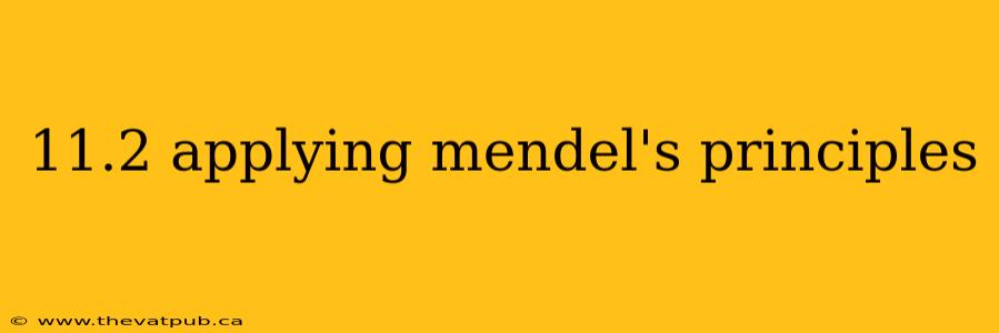 11.2 applying mendel's principles