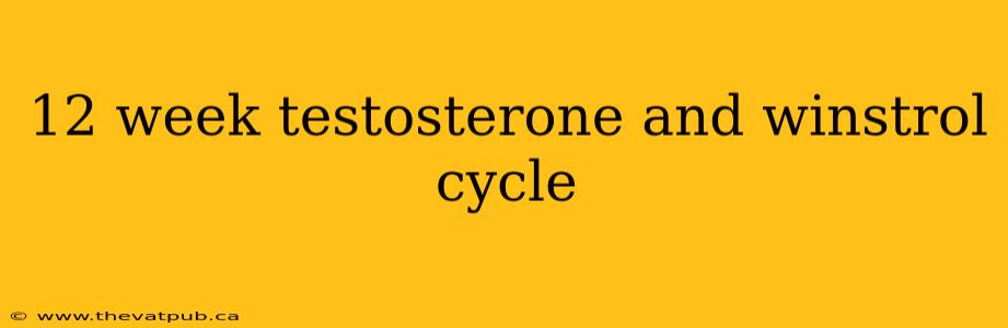 12 week testosterone and winstrol cycle