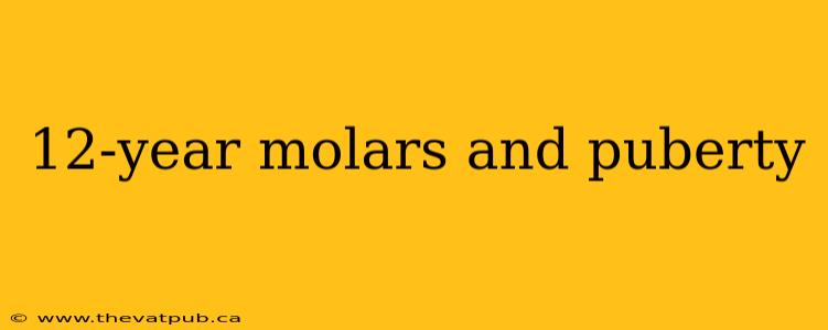 12-year molars and puberty