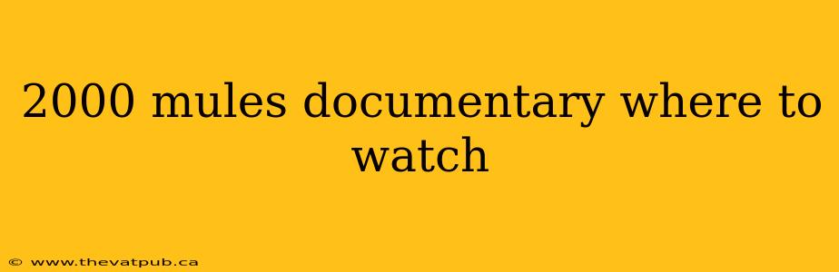 2000 mules documentary where to watch