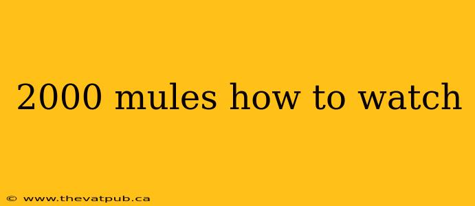 2000 mules how to watch