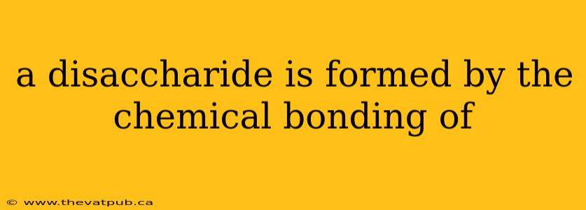 a disaccharide is formed by the chemical bonding of