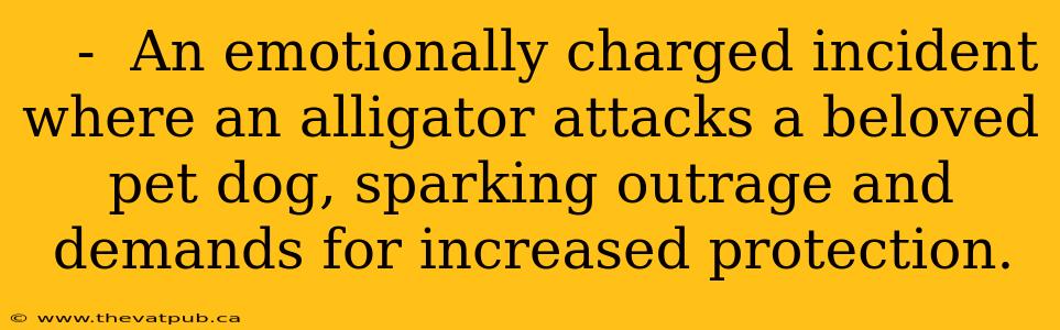    -  An emotionally charged incident where an alligator attacks a beloved pet dog, sparking outrage and demands for increased protection.