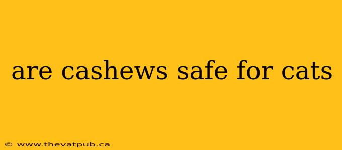 are cashews safe for cats