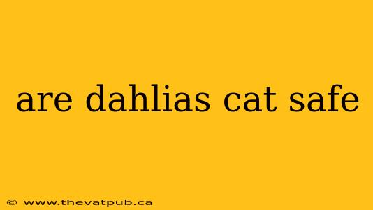 are dahlias cat safe