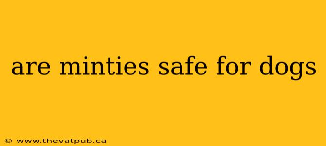 are minties safe for dogs