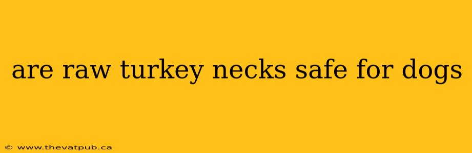 are raw turkey necks safe for dogs