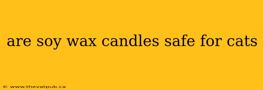are soy wax candles safe for cats