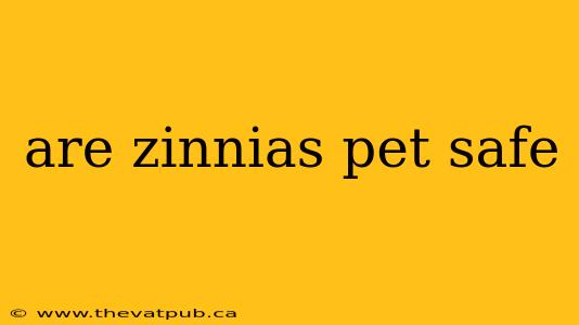 are zinnias pet safe