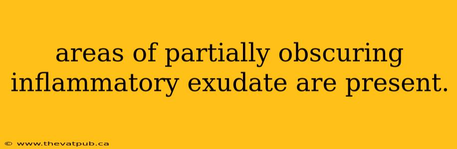 areas of partially obscuring inflammatory exudate are present.