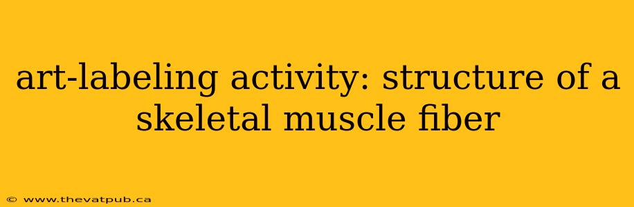 art-labeling activity: structure of a skeletal muscle fiber