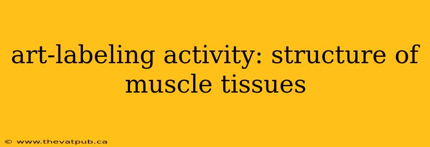 art-labeling activity: structure of muscle tissues