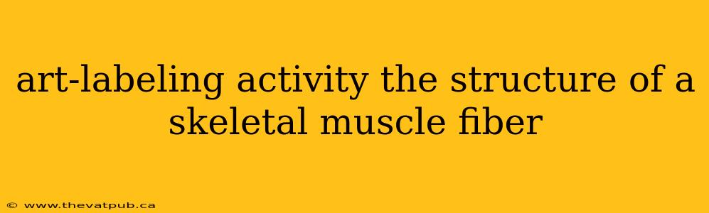 art-labeling activity the structure of a skeletal muscle fiber