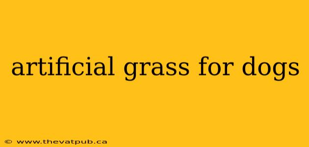 artificial grass for dogs