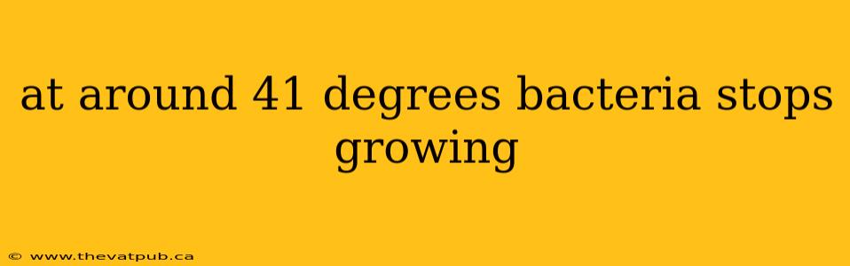 at around 41 degrees bacteria stops growing