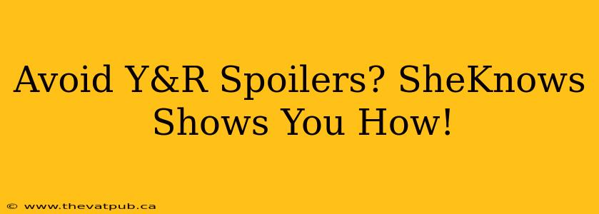 Avoid Y&R Spoilers? SheKnows Shows You How!