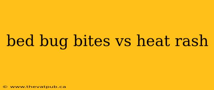 bed bug bites vs heat rash