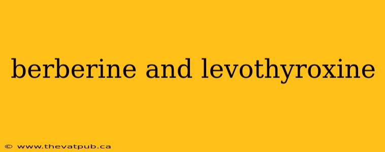 berberine and levothyroxine