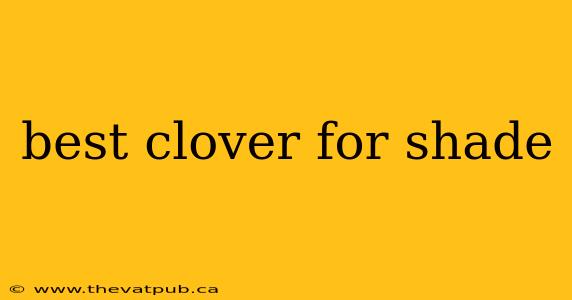 best clover for shade
