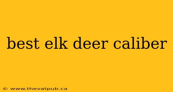 best elk deer caliber