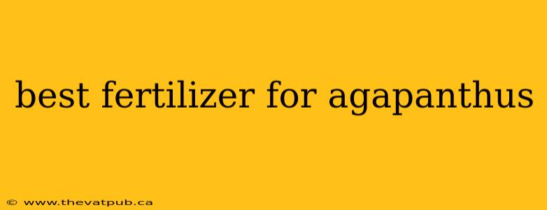 best fertilizer for agapanthus