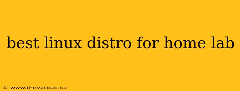 best linux distro for home lab