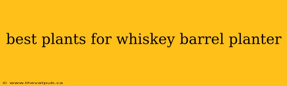 best plants for whiskey barrel planter