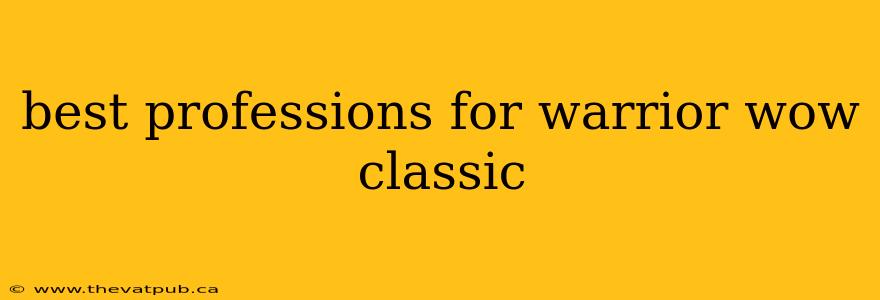 best professions for warrior wow classic