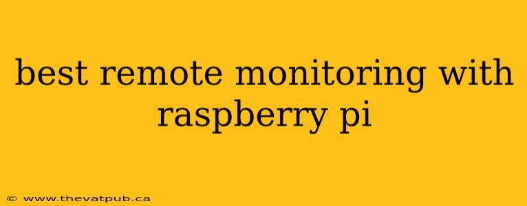 best remote monitoring with raspberry pi