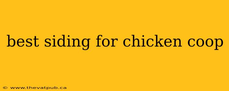 best siding for chicken coop