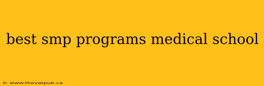 best smp programs medical school