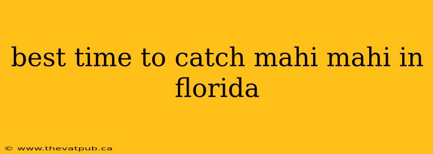 best time to catch mahi mahi in florida
