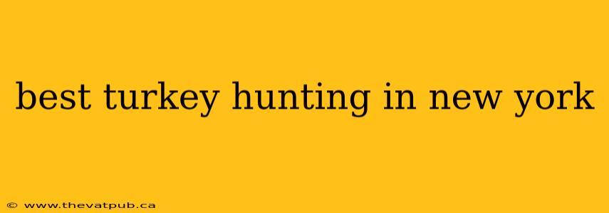 best turkey hunting in new york