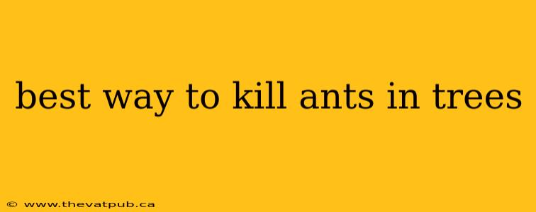 best way to kill ants in trees
