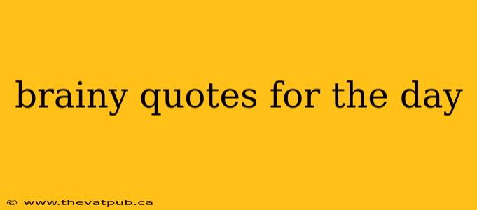 brainy quotes for the day