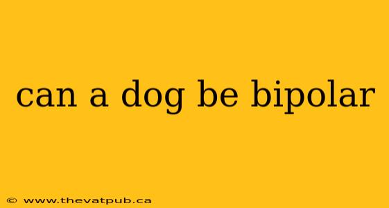 can a dog be bipolar