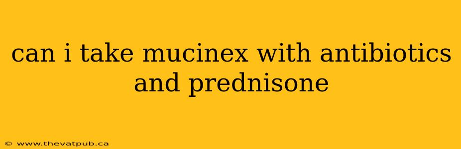 can i take mucinex with antibiotics and prednisone