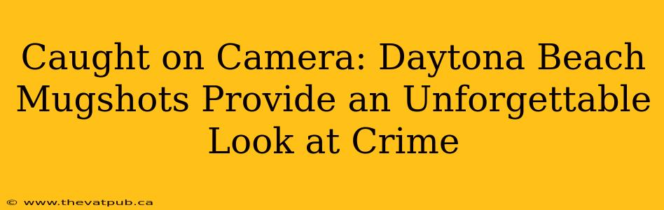 Caught on Camera: Daytona Beach Mugshots Provide an Unforgettable Look at Crime