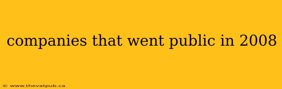 companies that went public in 2008
