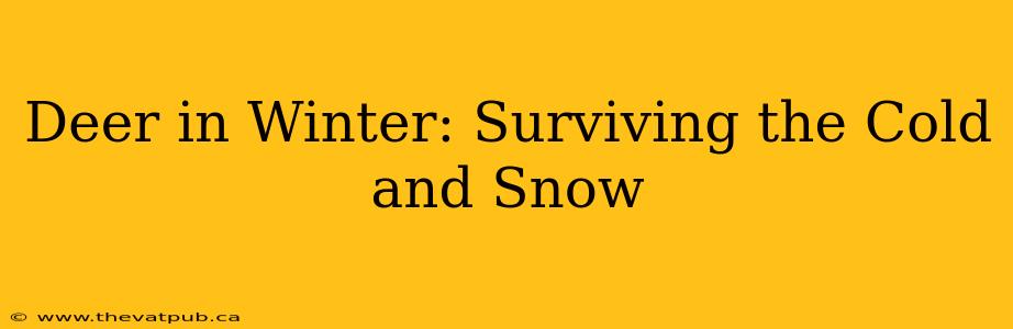 Deer in Winter: Surviving the Cold and Snow