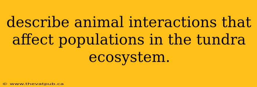describe animal interactions that affect populations in the tundra ecosystem.
