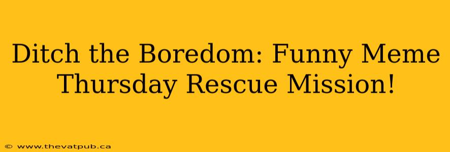Ditch the Boredom: Funny Meme Thursday Rescue Mission!
