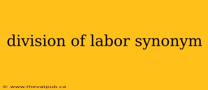 division of labor synonym