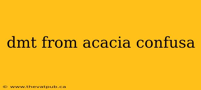 dmt from acacia confusa