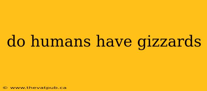 do humans have gizzards