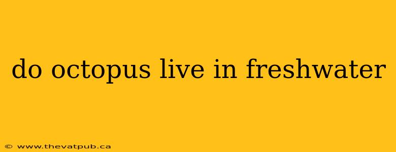 do octopus live in freshwater