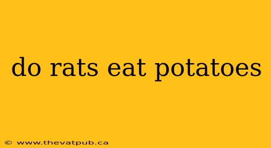 do rats eat potatoes