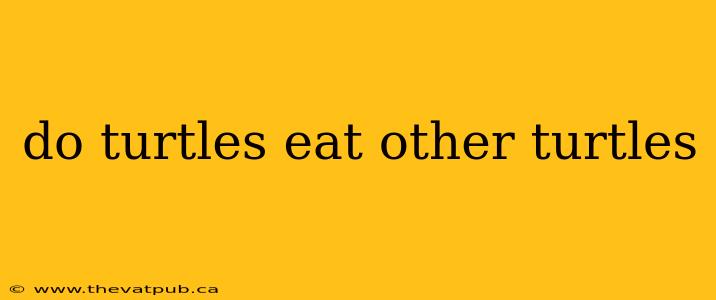 do turtles eat other turtles