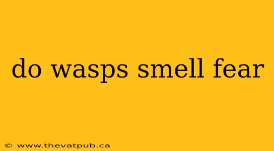 do wasps smell fear
