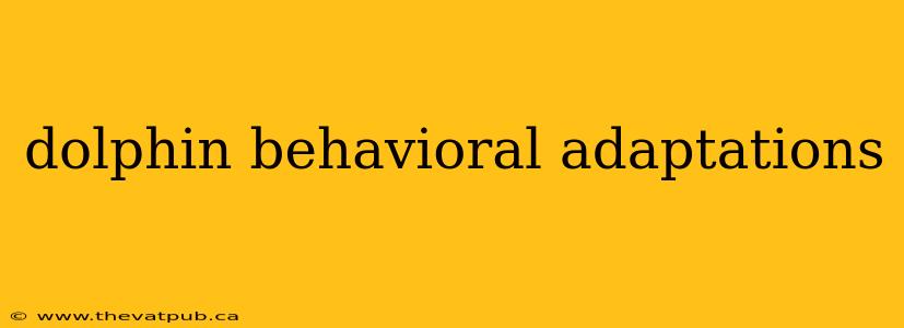 dolphin behavioral adaptations